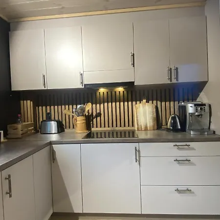 Newly Renovated With A Location Apartament Geilo